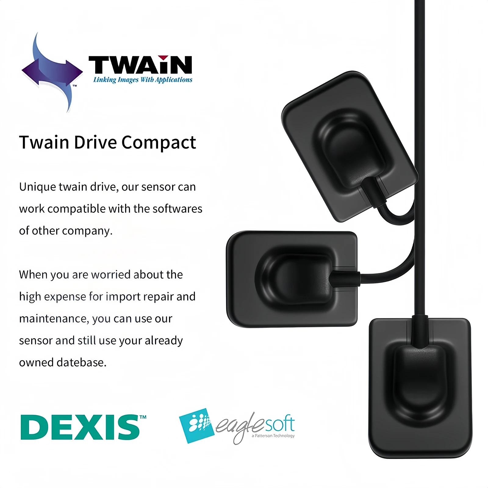 Dental Ray X Image System Digital Rayos Sensor Fit Twain Drive + Holder 1/1.5/2